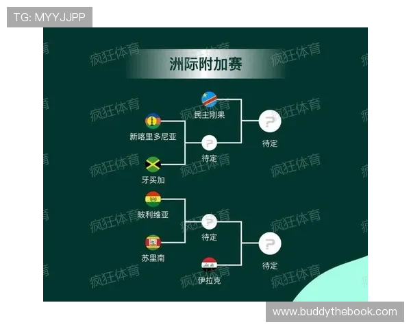 详细解读2026年世界杯预选赛赛制规则中的关键环节与操作流程